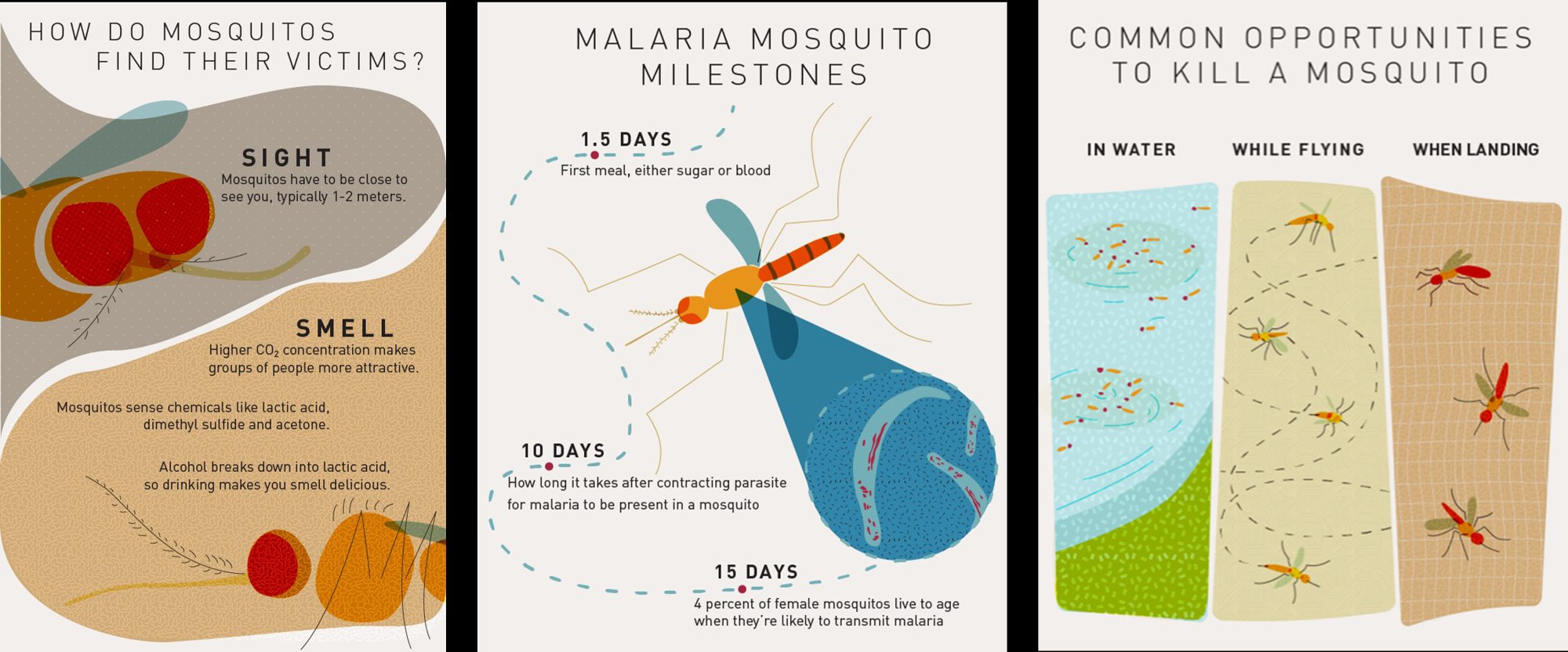 Malaria mosquito infographic — data visualization exploring how mosquitos find victims, malaria transmission milestones, and eradication opportunities